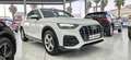 Audi Q5 35 TDI 120kW (163CV) S tronic Blanco - thumbnail 11
