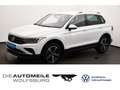 Volkswagen Tiguan 1.5 TSI DSG Move AHK/ACC/Rückkam Weiß - thumbnail 1