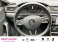 Skoda Superb Style 1.4 TSI ACT Bi-Xenon El. Heckklappe Apple Ca Grigio - thumbnail 14