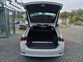 Skoda Octavia Combi Style 1,5 TSI DSG eTec Hybrid Bianco - thumbnail 8