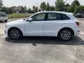 Audi Q5 2.0 TDI 150 CV clean diesel Business Bianco - thumbnail 8