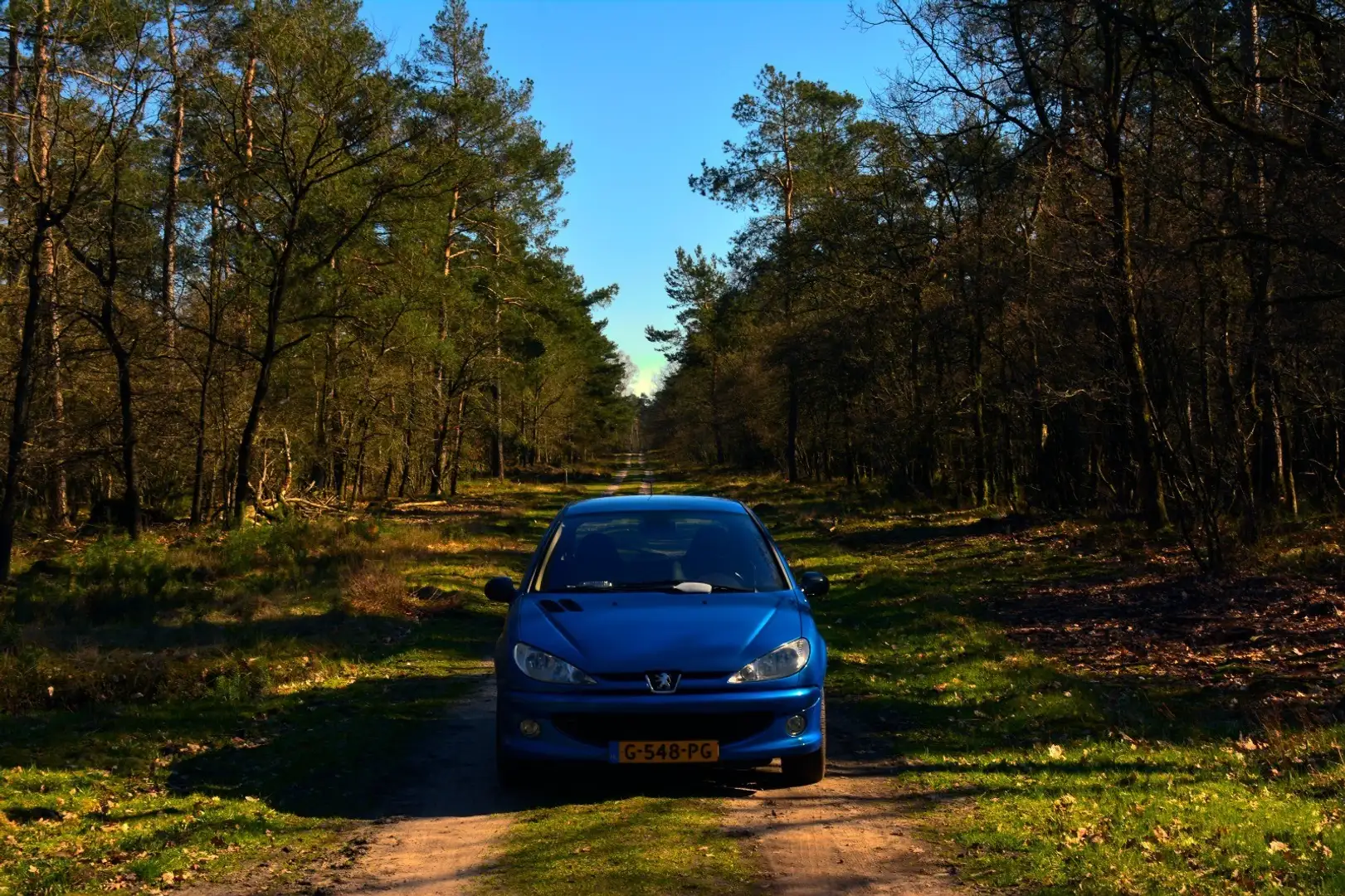Peugeot 206 2.0-16V RC Blauw - 2