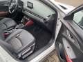 Mazda CX-3 Sports-Line Automatik Blanco - thumbnail 8