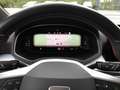 SEAT Ibiza 1.0 TSI FR Pro Black Edition Pano ACC CarPlay Rot - thumbnail 19