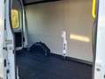 Ford Transit 350 L3H2 Lkw VA Trend 96 kW, 4-türig (Dies Blanc - thumbnail 26