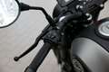 Benelli Leoncino 125, sofort lieferbar, Lieferservice Gri - thumbnail 11