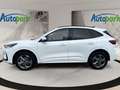 Ford Kuga ST-Line Plug-In-Hybrid Weiß - thumbnail 4