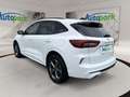 Ford Kuga ST-Line Plug-In-Hybrid Weiß - thumbnail 5