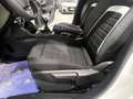 Citroen C3 C3 PureTech 100 S&S Plus NUOVA/KM0 Bianco - thumbnail 11