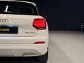 Audi Q2 Sport 30 TFSI 85kW (116CV) Blanc - thumbnail 6