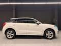 Audi Q2 Sport 30 TFSI 85kW (116CV) Blanc - thumbnail 9