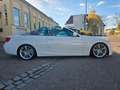 BMW 335 i Cabrio M-Paket H&K  Xenon Kurbellwellen sch Biały - thumbnail 12