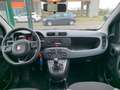 Fiat Panda 1.2 EasyPower Easy Grau - thumbnail 13
