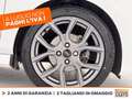 Ford Fiesta 5p 1.0 ecoboost h st-line 125cv Bianco - thumbnail 14