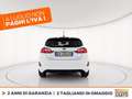 Ford Fiesta 5p 1.0 ecoboost h st-line 125cv Bianco - thumbnail 4