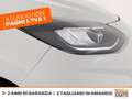 Ford Fiesta 5p 1.0 ecoboost h st-line 125cv Bianco - thumbnail 13