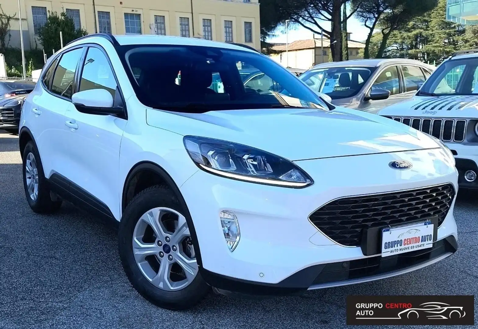 Ford Kuga 1.5 EcoBlue 120 CV 2WD Titanium Business Bianco - 2