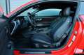 Ford Mustang 3.7 V6 GT500 Optik/LED/CarPlay/KAMERA/20 Rot - thumbnail 10