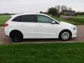 Mercedes-Benz B 200 200d Advantage AUT **EX POLITIE ** -- 8999 MARGE C Wit - thumbnail 5