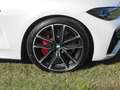 BMW 440 M440dA xDrive Cabrio Weiß - thumbnail 5