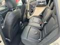 MINI Cooper D Mini Clubman 2.0 D - 150cv - BVA  Cooper D Exquisite Beige - thumbnail 13
