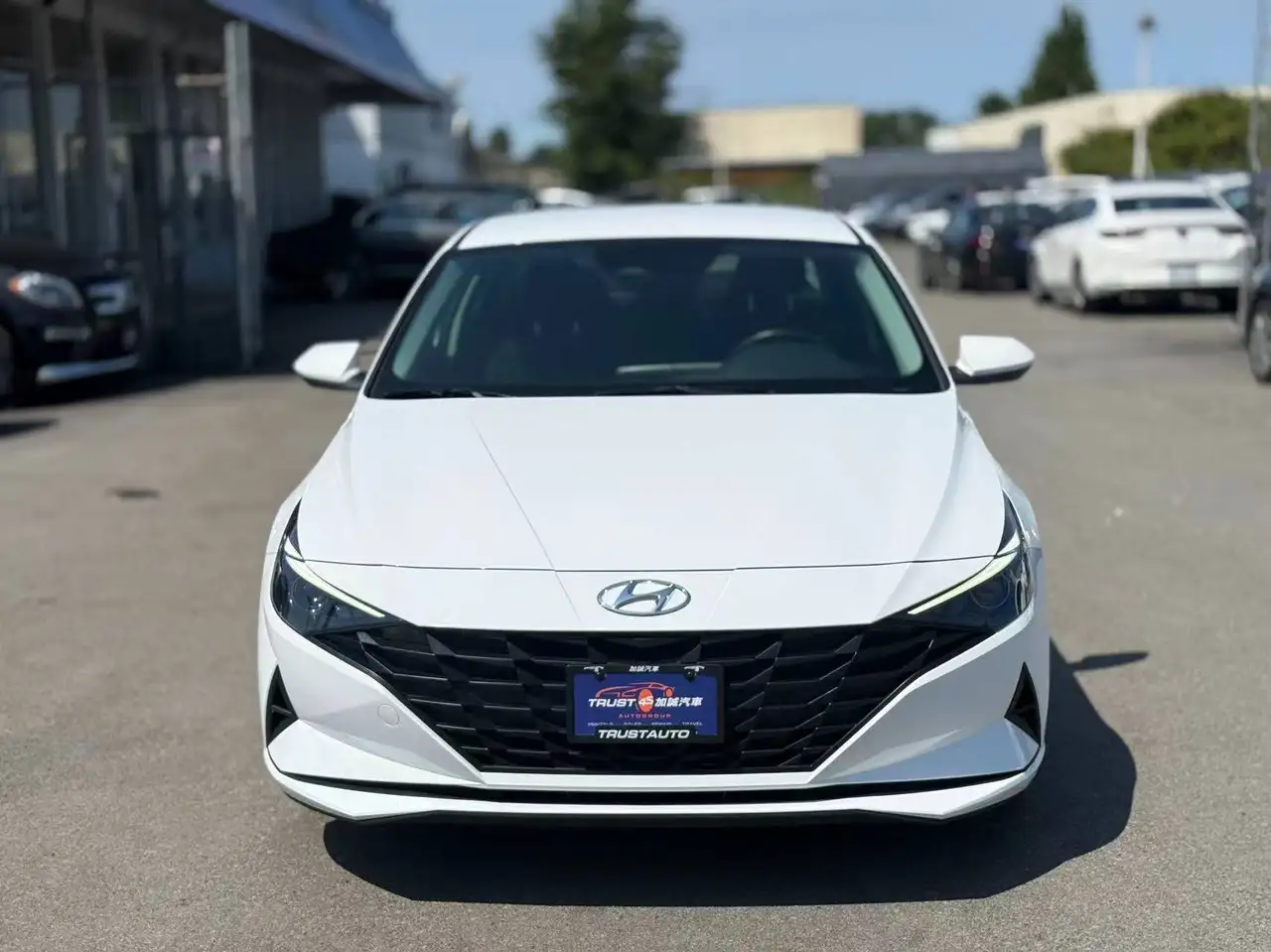 Hyundai ELANTRA fotografie Hyundai ELANTRA