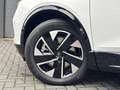 Opel Grandland Electric Business Edition 73kWh 210pk | Hi-Fi FOCA Wit - thumbnail 50