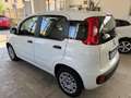 Fiat Panda 1.3 mjt 16v Lounge s&s 95cv my19 Bianco - thumbnail 14