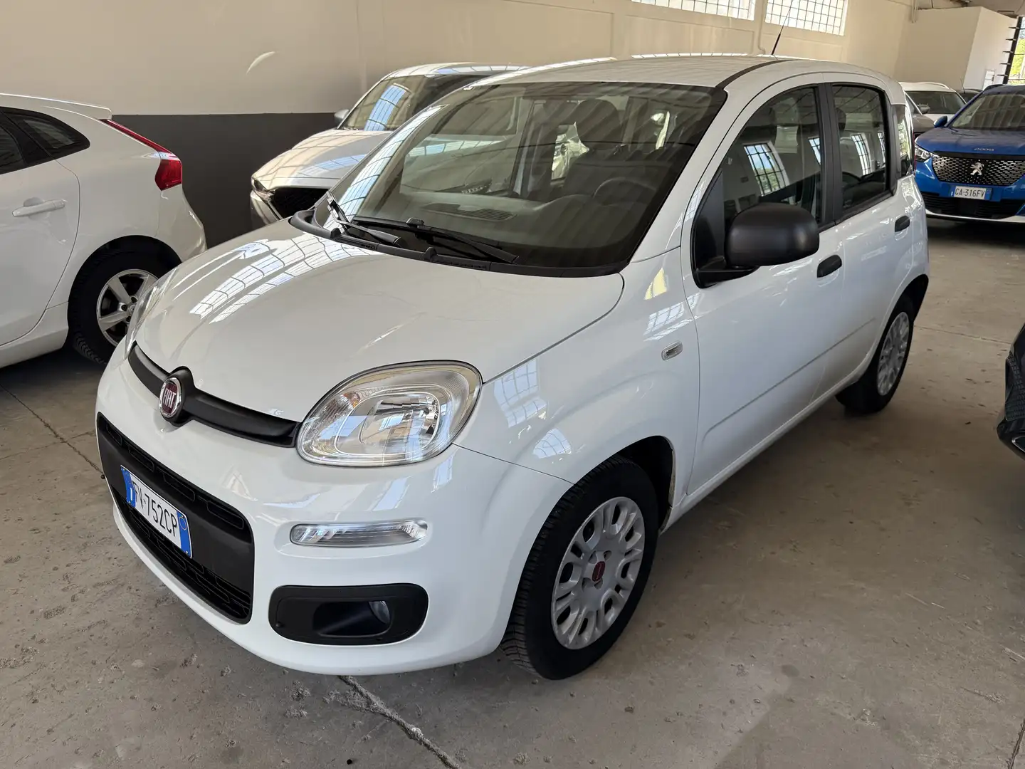 Fiat Panda 1.3 mjt 16v Lounge s&s 95cv my19 Bianco - 2