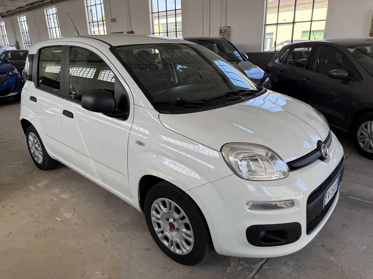 Fiat Panda 1.3 mjt 16v Lounge s&s 95cv my19 Bianco - 1