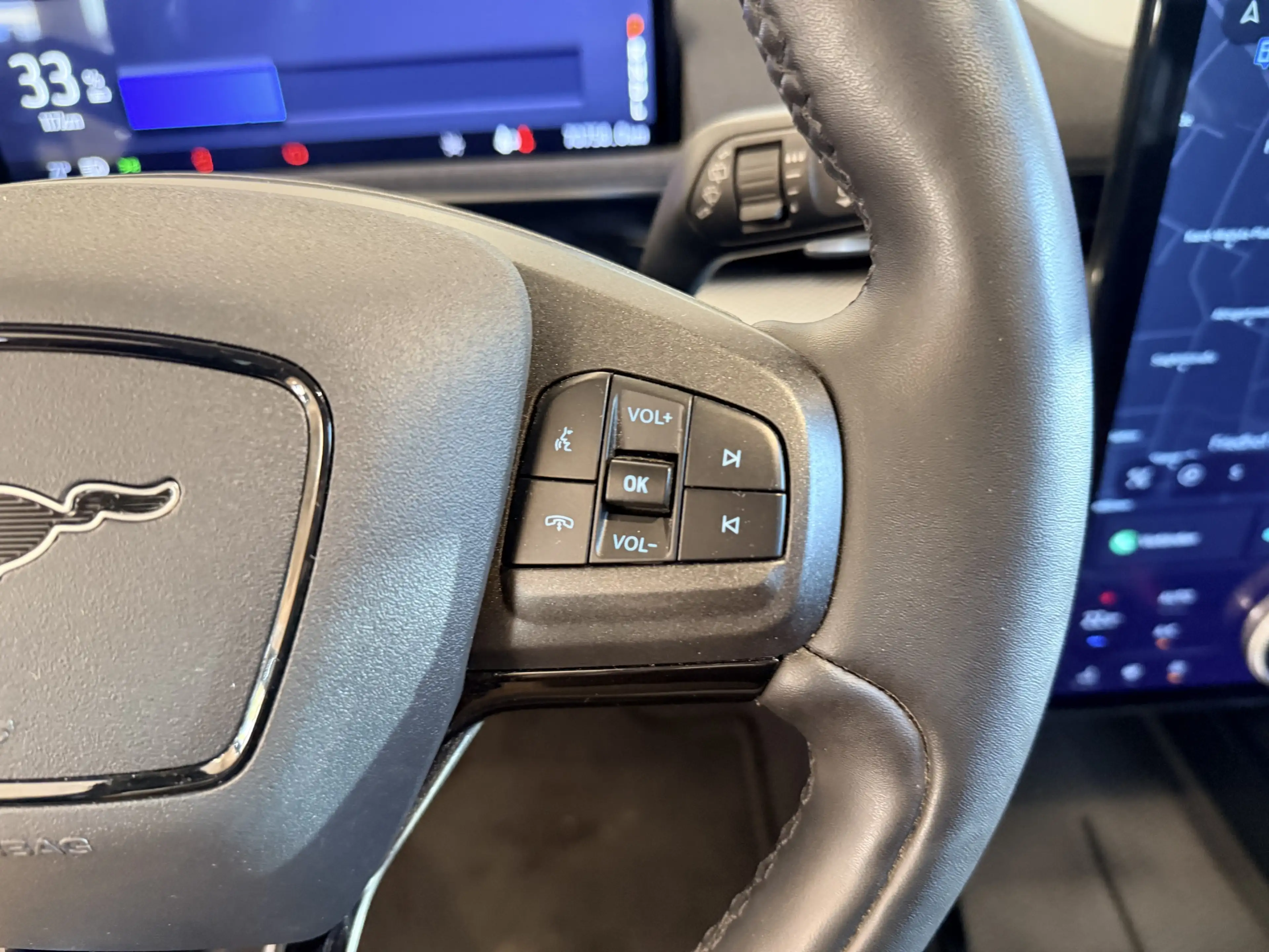 Ford Mustang Mach-E 93%SOH*ACC*Leder*1H*CAM*CarPlay — photo 15