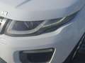 Land Rover Range Rover Evoque 2.0eD4 Pure 2WD 150 Blanco - thumbnail 16