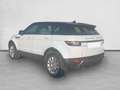 Land Rover Range Rover Evoque 2.0eD4 Pure 2WD 150 Blanco - thumbnail 6