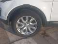 Land Rover Range Rover Evoque 2.0eD4 Pure 2WD 150 Blanco - thumbnail 13