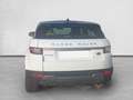 Land Rover Range Rover Evoque 2.0eD4 Pure 2WD 150 Blanco - thumbnail 4