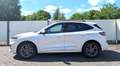 Ford Kuga 2.5l Duratec PHEV ST-LINE X Head-up+ACC+RFK u.v.m. Blanc - thumbnail 2