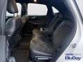 Ford Kuga 2.5 phev ST-Line X 2wd 225cv cvt Gris - thumbnail 12