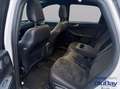 Ford Kuga 2.5 phev ST-Line X 2wd 225cv cvt Gris - thumbnail 11