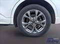 Ford Kuga 2.5 phev ST-Line X 2wd 225cv cvt Gris - thumbnail 18