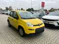 Fiat Panda 3ª serie 1.0 FireFly S&S Hybrid Giallo - thumbnail 4