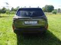 Subaru Forester 2.0ie Excl. 2025 MJ*OFFROAD Hunter Edition* Grün - thumbnail 6