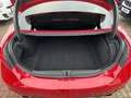Alfa Romeo Giulia Veloce Q4+LEDER+XENON+8FACH+HARMAN+BREMBO+ACC+ Rojo - thumbnail 7