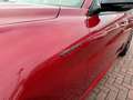 Alfa Romeo Giulia Veloce Q4+LEDER+XENON+8FACH+HARMAN+BREMBO+ACC+ Rojo - thumbnail 11