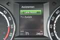 Skoda Octavia 2.0 TDI Green tec DSG RS Combi *AHK*STHZ*PANORAMA* Bleu - thumbnail 29