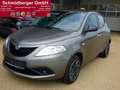 Lancia Ypsilon Lancia Ypsilon New 1,2 Gold 8fach Bereift Grau - thumbnail 1