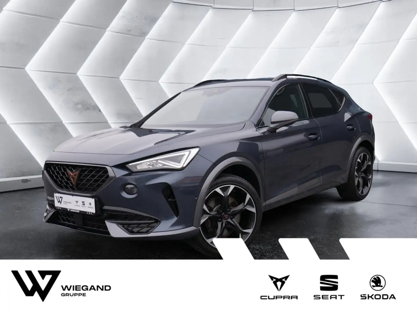 CUPRA Formentor 2.0 TSI VZ 4Drive DCC NAVI ACC LED Gris - 1