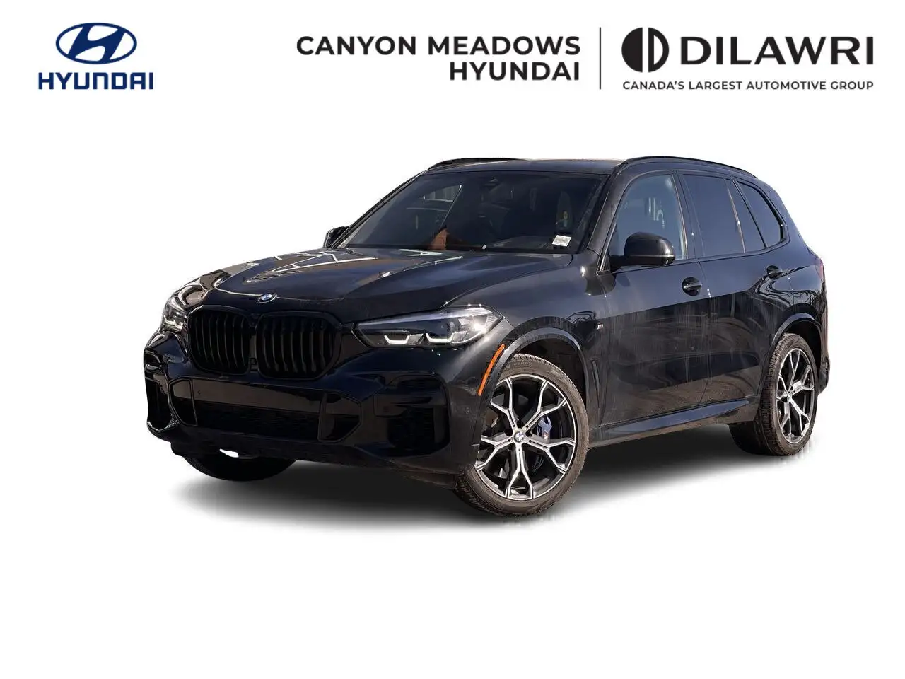 2023 BMW X5