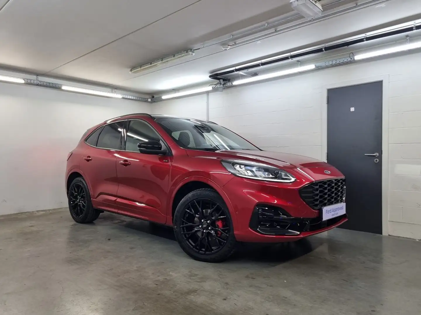 Ford Kuga ST-Line X PHEV - Black pack - pano dak Rouge - 2