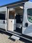 Tourne Mobile SELECT 6.0m, 2.2 BlueHDI 180, Automatik Grau - thumbnail 4