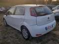 Fiat Punto 1.3 MJT 5P LOUNGE Bianco - thumbnail 4